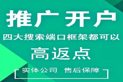 金融行业开户返点策略成功实例